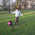 frisbee #PiesSznaucer