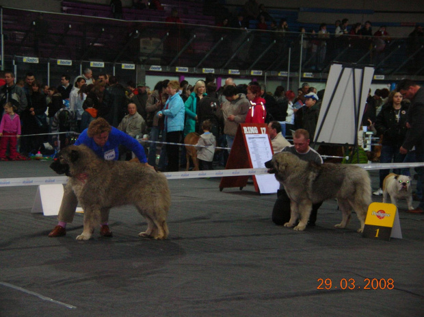 Katowice 2008