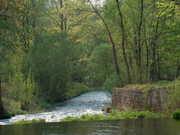 Bóbr, okolice Pilchowic #ZaporaWodna #krajobraz #ElektrowniaWodna #pilchowice #JeleniaGóra #tama #bóbr #natura #przyroda #rzeka