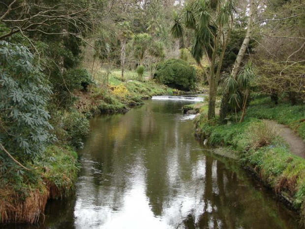 Mount Usher Gardens