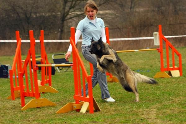 Agility Płock Zawody 5-6.04.2008 Psy