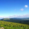 na pierwszym planie Starostyna, w tle Polskie Bieszczady