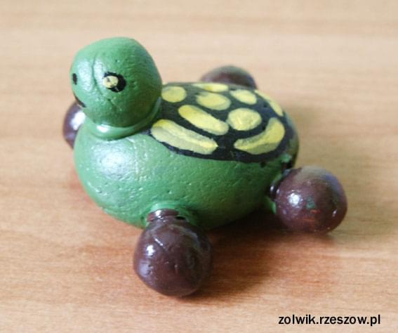 żółw od siostry Moniki #żółw #żółwik #kolekcja