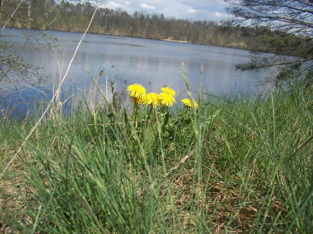 Okolice Tlenia