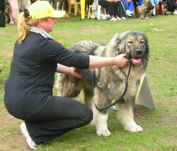 Klubówka Moskwa 2008