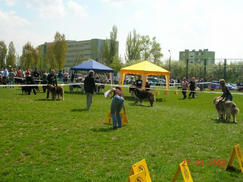 Opole 2008