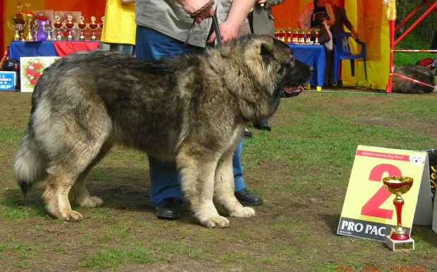 Klubówka Moskwa 2008