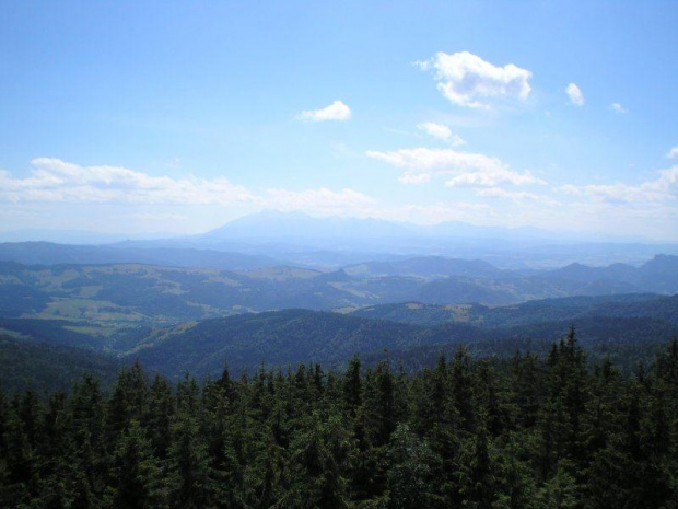 Tatry z Radziejowej #góry #rower