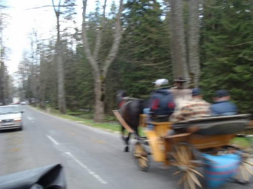 Pawełek i Jasio w Krakowie i Tatrach-maj 2008 z Agatką i Adasiem