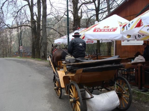 Pawełek i Jasio w Krakowie i Tatrach-maj 2008 z Agatką i Adasiem