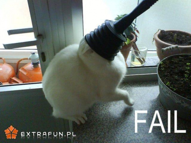 extrafun