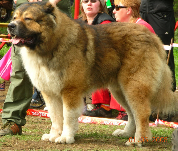 Klubówka moskwa 2008