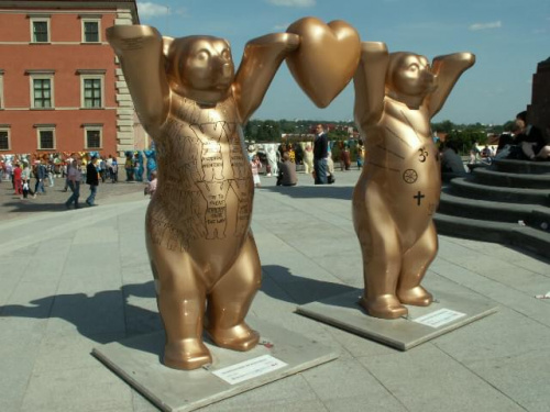 Stare Miasto i okolice w czasie wystawy niedźwiedzi.