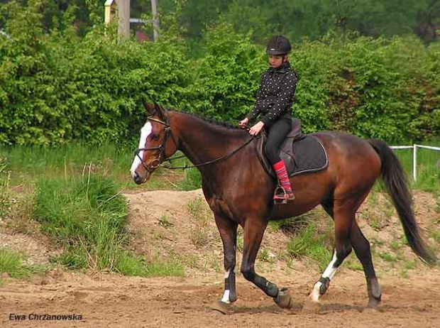 16.05.2008 Zawody Stodoły - I dzień