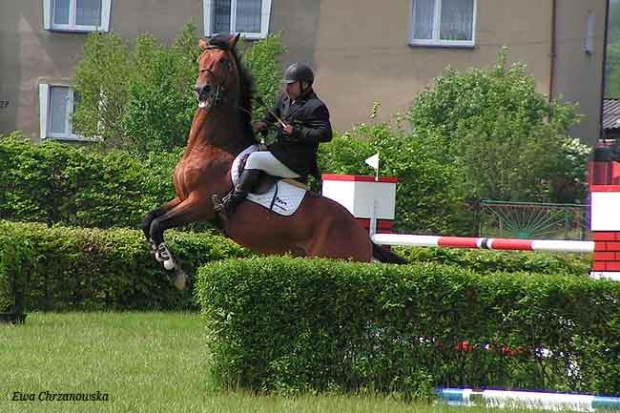 17.05.2008 Zawody w Stodołach