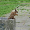 Adjęcia zrobione w Parku Miejskim
w Ostrołęce.