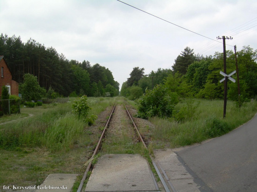 Widok w stronę Gzina.