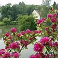 Koniec maja