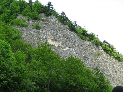 #dunajec #spływ #pieniny