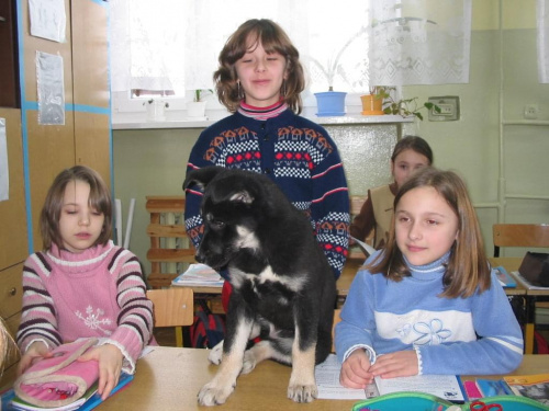 Mimi po znalezieniu :) cała klasa zajmuje się małą znajdą #dzieci #pies #psy #zwierzęta