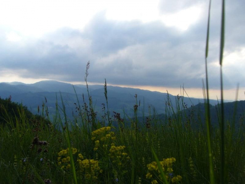 widok na Pasmo Radziejowej z Zadnich Gór