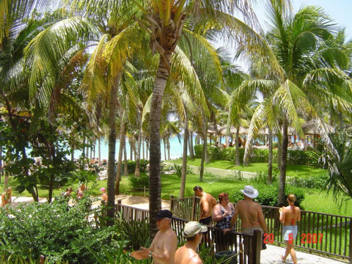 Riu Yucatan