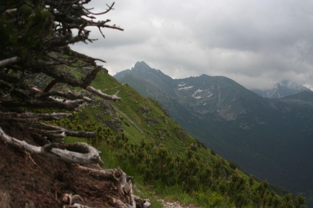 GIEWONT - KASPROWY #ZAKOPANE #GÓRY