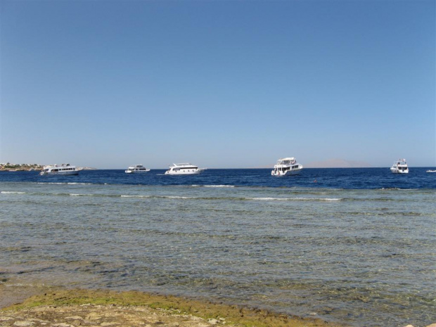 statki przypływające na "naszą" rafę #Egipt #SharmElSheikh #DreamsVacations