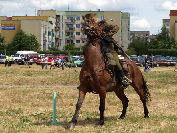 #konie #Suwałki #PiknikKawaleryjski