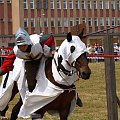 #konie #Suwałki #PiknikKawaleryjski