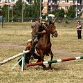 #konie #Suwałki #PiknikKawaleryjski