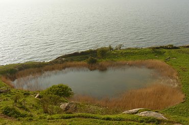 Jezioro przybrzeżne #bornholm #dania #pole #przyroda #natura #łąka #morze #jezioro #brzeg #wybrzeże