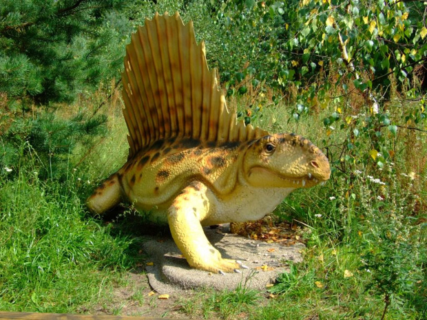 Dimetrodon #dinozaur #dimetrodon