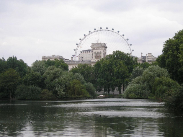 W oddali london eye... #park #LondonEye #jeziorko #roślinki