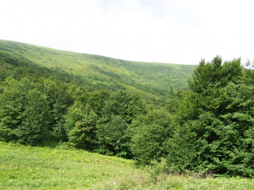 #bieszczady