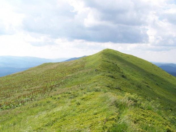 #bieszczady