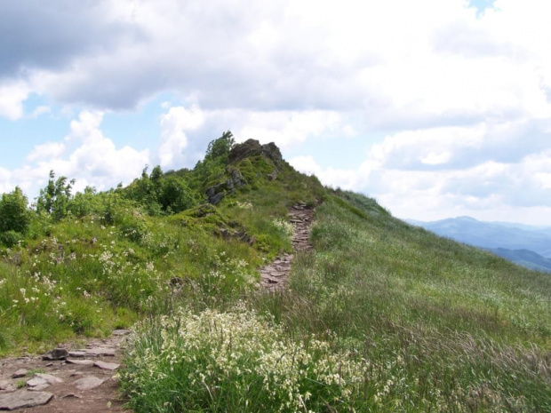 #bieszczady