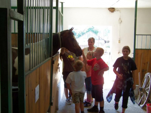 Zarogów 11.07.2008