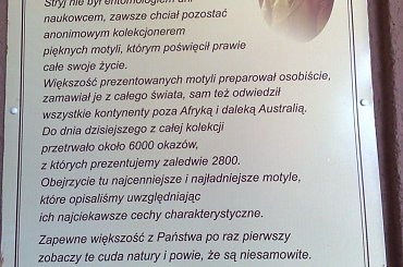 29.06.2008 niedziela --> dzień pierwszy cudownych wakacji.Wystawa prezentowana w wieży Domu Rybaka "Motyle Świata" #WesołeMiasteczko #Lunapark #władysławowo #wakacje