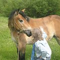 Na Wiślańskiej niby wyspie :))