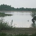 Wisła...