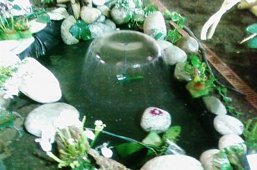 #kwiaty #WystawaKwiatów #piękne