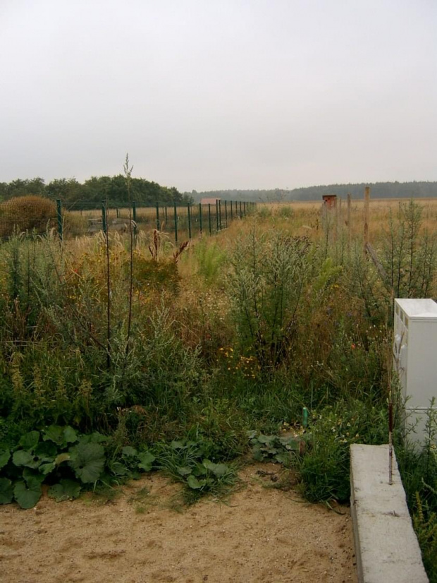 działka