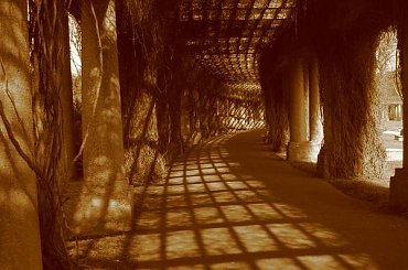 Pergola wrocławska jesienią #HalaStulecia #Wrocław #pergola #jesień