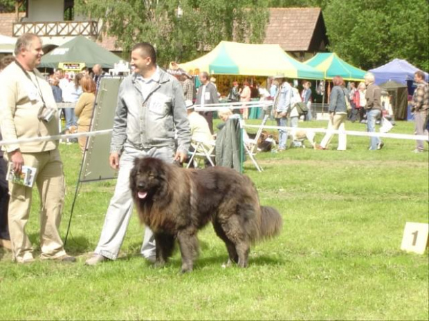 Wystawa psów w Wałbrzychu 2005 r.