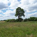 Terenu nad Śląską Ochlą