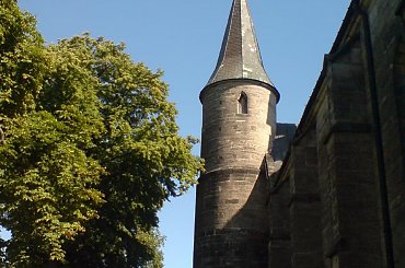 #Żarnów #kościół #pola