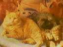 moje slodkie zwierzaki:)) puszek i bambo:)) #pies #kot #ZwierzętaBambo #puszek