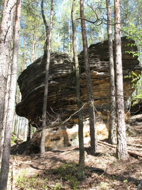 rezerwat "Piekło" Niekłań - skałki