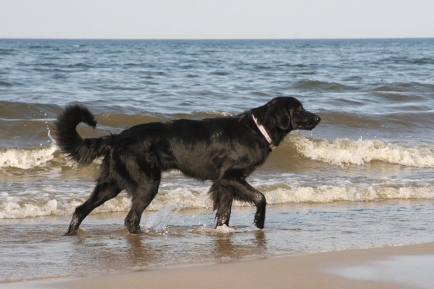 Na plaży w Jastarni